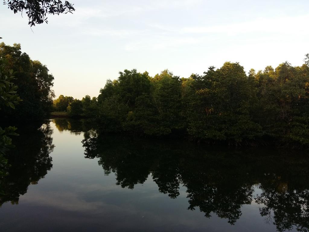 Mangroves & More @ Cambodia Sihanoukville Exterior foto