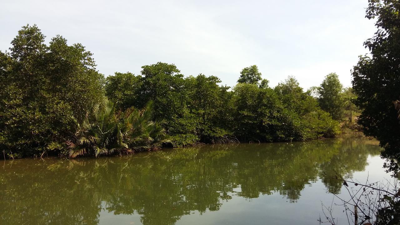 Mangroves & More @ Cambodia Sihanoukville Exterior foto